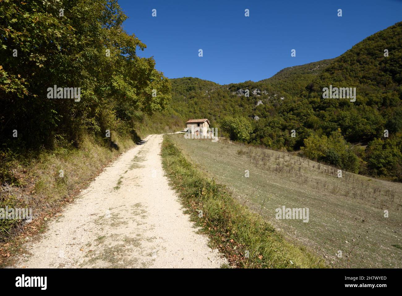 italia, lazio, castel di tora, sentiero di campagna Foto Stock