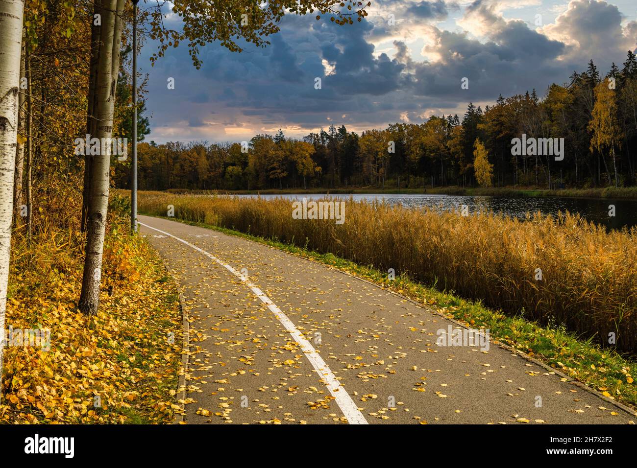 passerella nel parco cittadino e nel lago Foto Stock