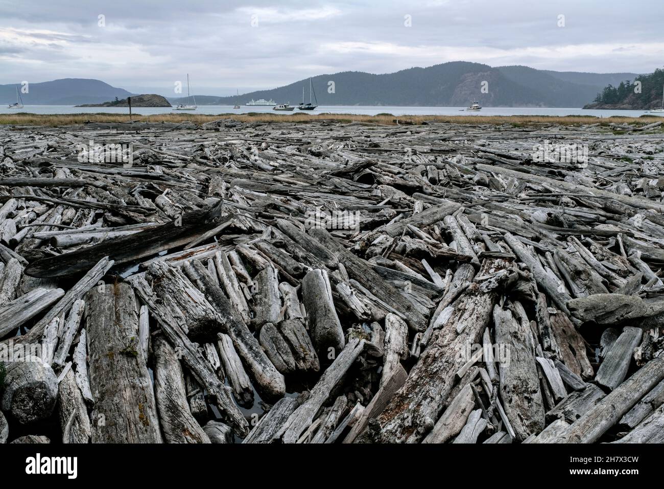 WA20420-00....WASHINGTON -Log Jam presso Spencer Spit, Spencer Spit State Park sull'isola di Lopez, gruppo delle isole San Juan. Foto Stock