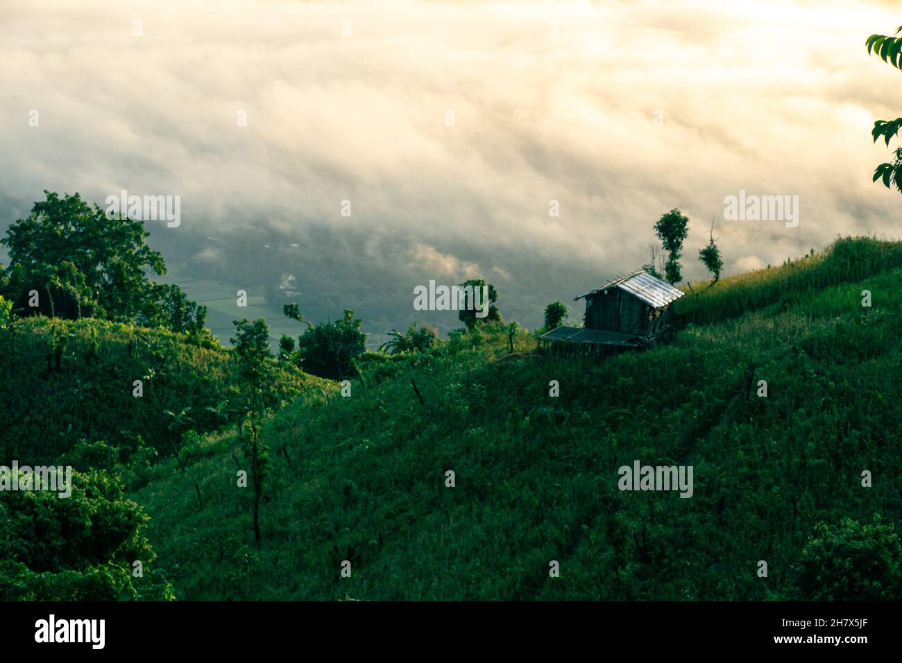 Foto del tratto di collina di Bandarban, Bangladesh. Paesaggio naturale collina con nuvole . casa sulla cima di una montagna . Foto Stock
