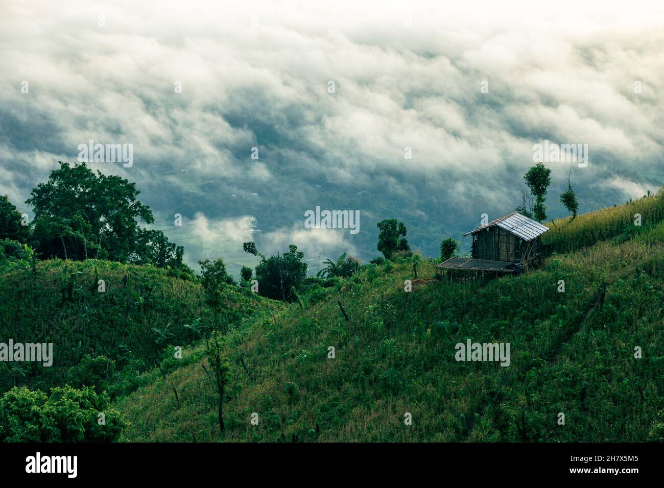 Foto del tratto di collina di Bandarban, Bangladesh. Paesaggio naturale collina con nuvole . casa sulla cima di una montagna . Foto Stock