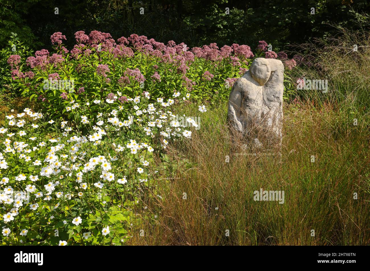 Hamm, Renania settentrionale-Vestfalia, Germania - nel Parco Massimiliano i fiori fioriscono nel giardino perenne. Maximilian Park nella città di Hamm è un Foto Stock