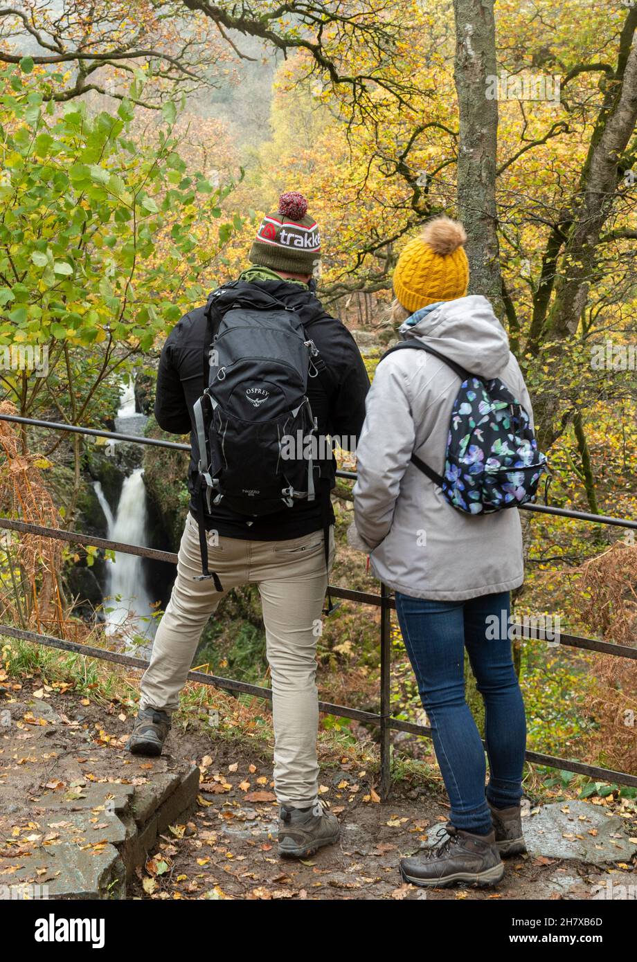 I visitatori, giovani coppie, guardano la cascata di Aira Force nel Lake District National Park, Cumbria, Inghilterra, Regno Unito, durante l'autunno o novembre Foto Stock