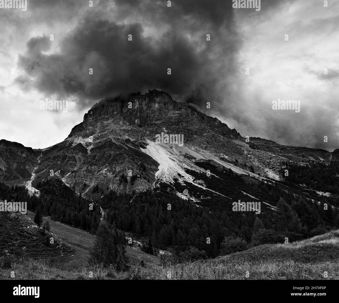 Vista in bianco e nero del parco di Paneveggio, Trentino Alto Adige, Italia Foto Stock