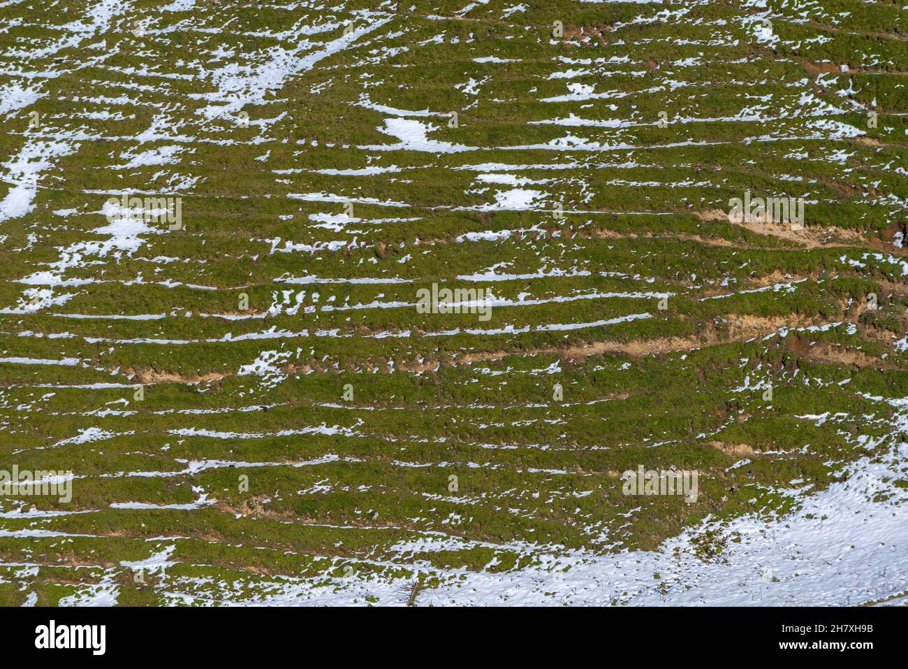 Kuhgangeln, piste su ripidi pendii di bestiame a circa 1500m s.l.m., vicino a Kampenwand, Alpi Chiemgauer, alta Baviera Germania meridionale, Europa Foto Stock