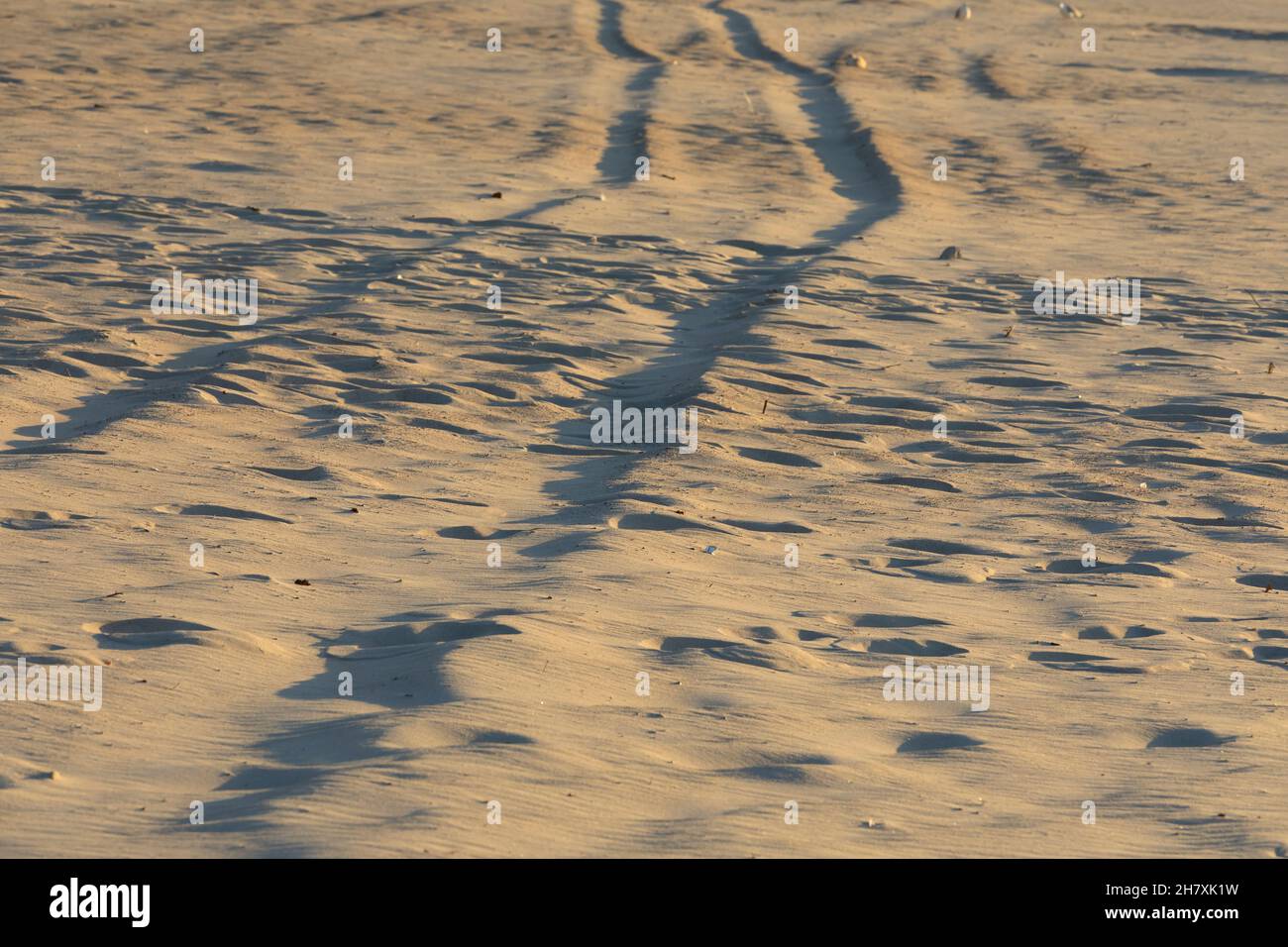 Il veicolo ha lasciato le sue tracce sulla spiaggia sabbiosa di Kolobrzeg, Polonia. Foto Stock