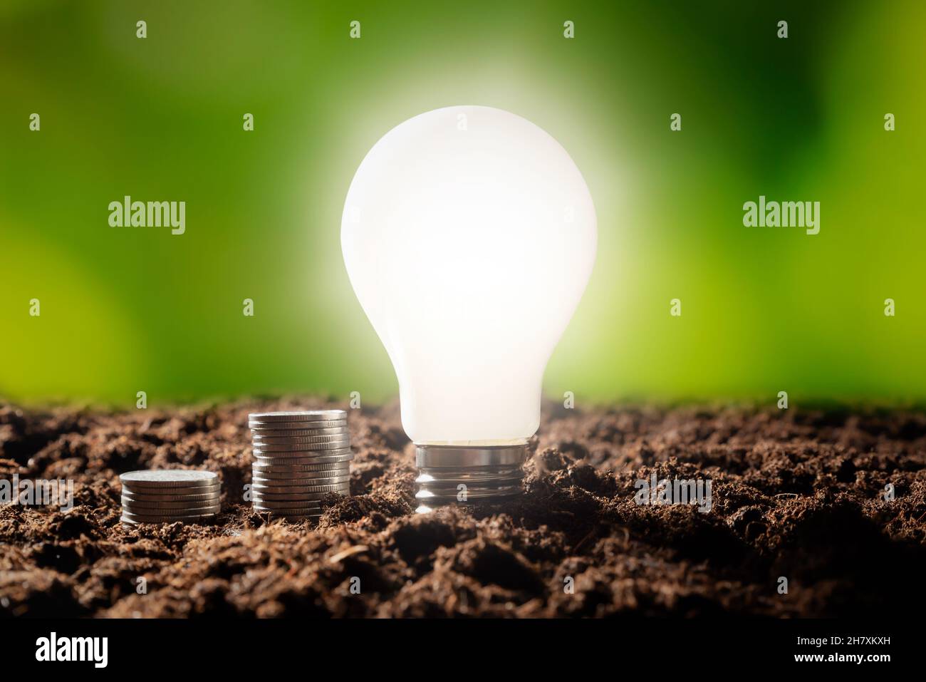 Fonti di energia rinnovabili: Sostenibilità, efficienza energetica, concetto di crisi energetica Foto Stock
