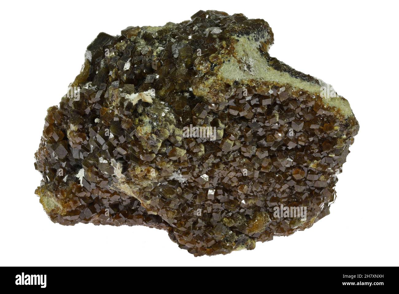 Hessonite dalla zona di Adamello, Italia isolato su sfondo bianco Foto Stock