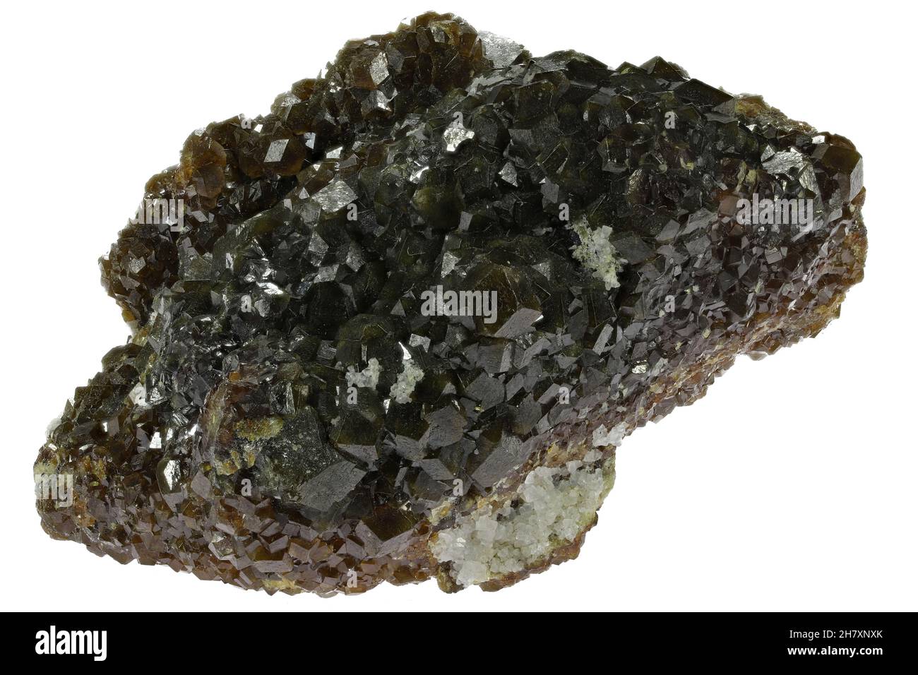 Hessonite dalla zona di Adamello, Italia isolato su sfondo bianco Foto Stock