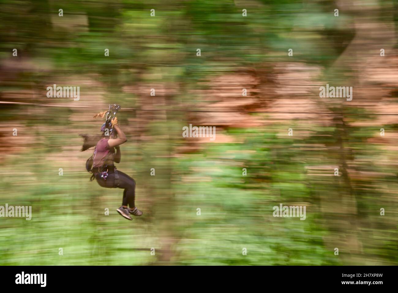 Movimento veloce, brivido ed eccitamento della zipline che corre lungo la giungla tropicale montagna al Climbworks Keana Farms, Oahu, Kahuku, Hawaii, USA Foto Stock