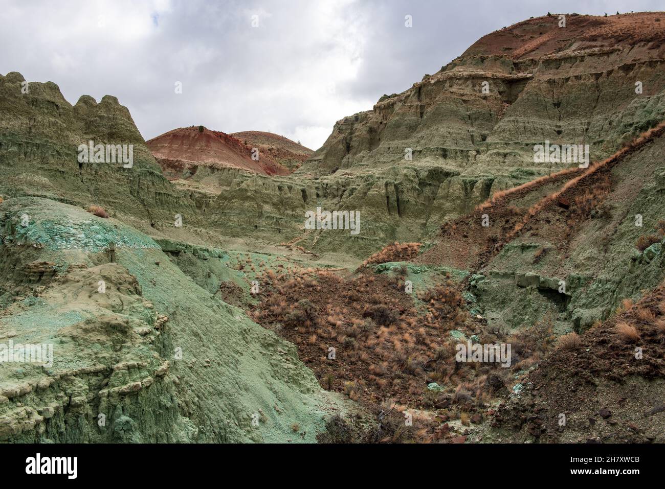 All'interno di Blue bassin nel letto fossile John day Foto Stock