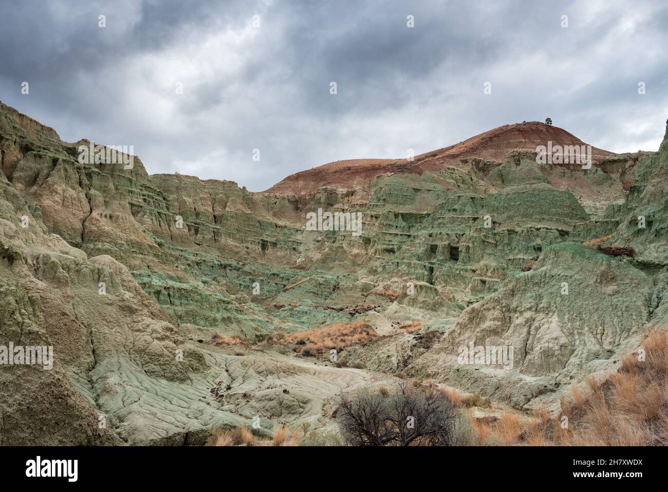 Montagna blu nel letto fossile John day Foto Stock