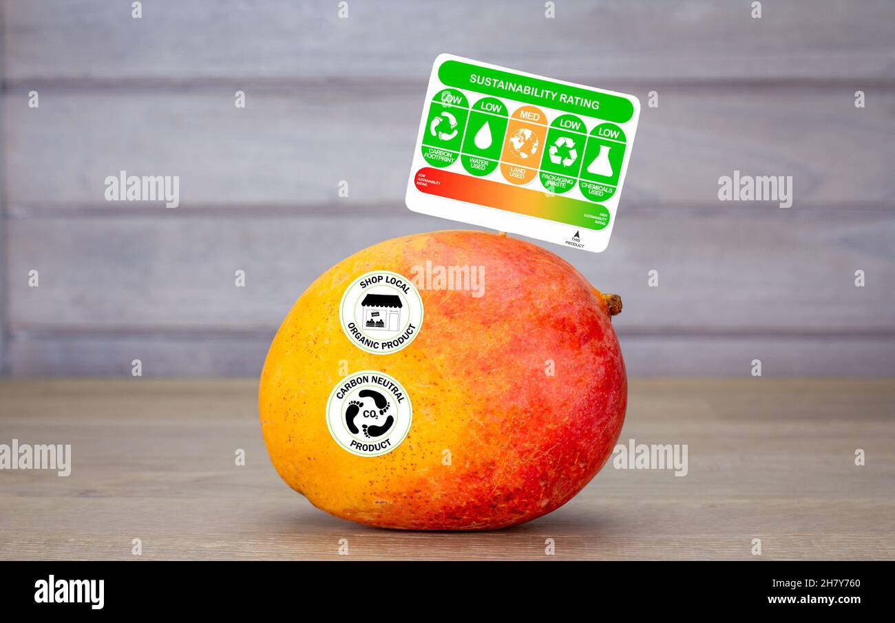 etichetta di sostenibilità alimentare di consumo sul mango con classificazione del prodotto per concetto etico alimentare sostenibile Foto Stock