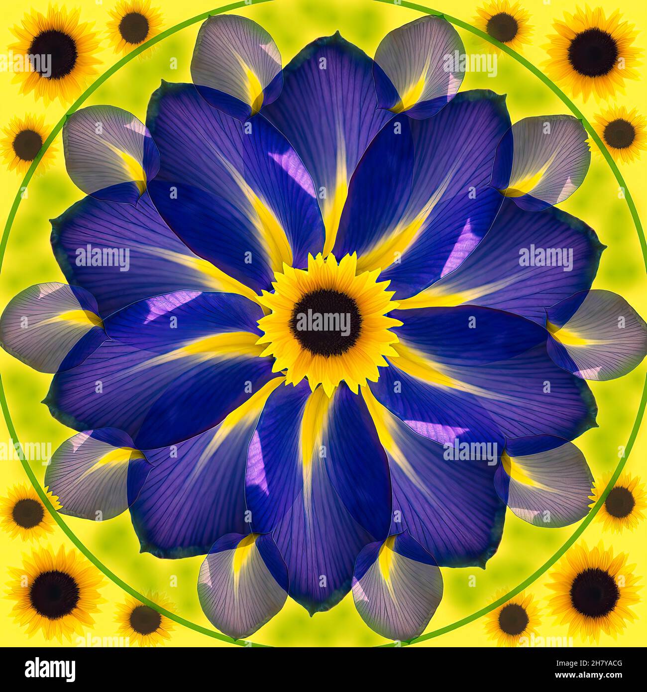 Multicolore mandala astratto illustrazione sfondo ad alta risoluzione Foto Stock