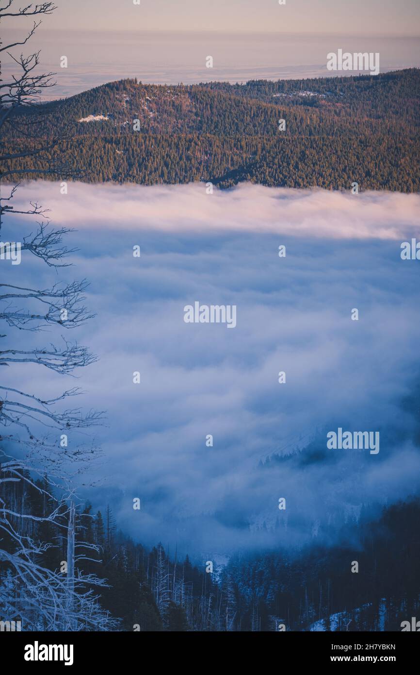 Vista delle colline che sono coperte di nuvole, le nuvole che si stabilirono tra le colline nella foresta nazionale del Monte Hood Foto Stock