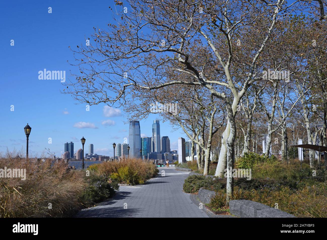 Sentiero lungo il porto di Battery Park all'estremità meridionale di Manhattan, con una bella fila di platani Foto Stock