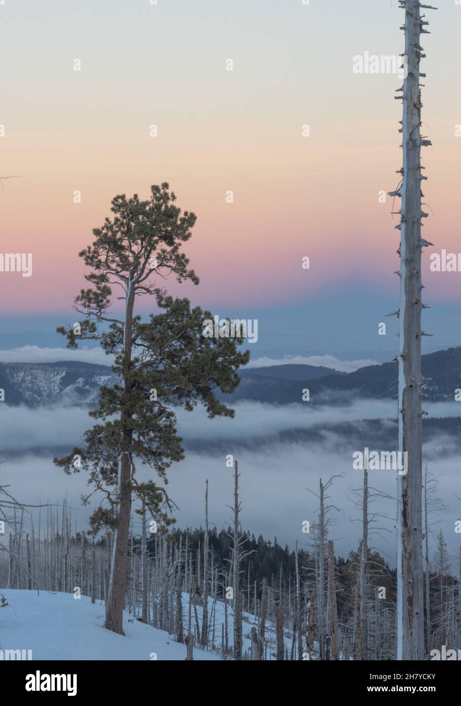 Vista delle colline che sono coperte di nuvole, le nuvole che si stabilirono tra le colline nella foresta nazionale del Monte Hood Foto Stock