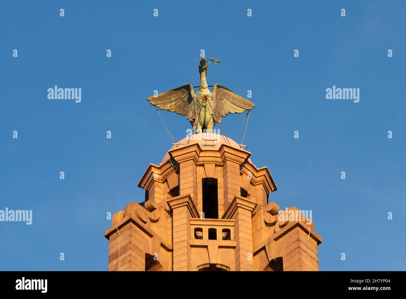 Liver Bird in cima al Liver Building, Liverpool, Inghilterra, Regno Unito Foto Stock