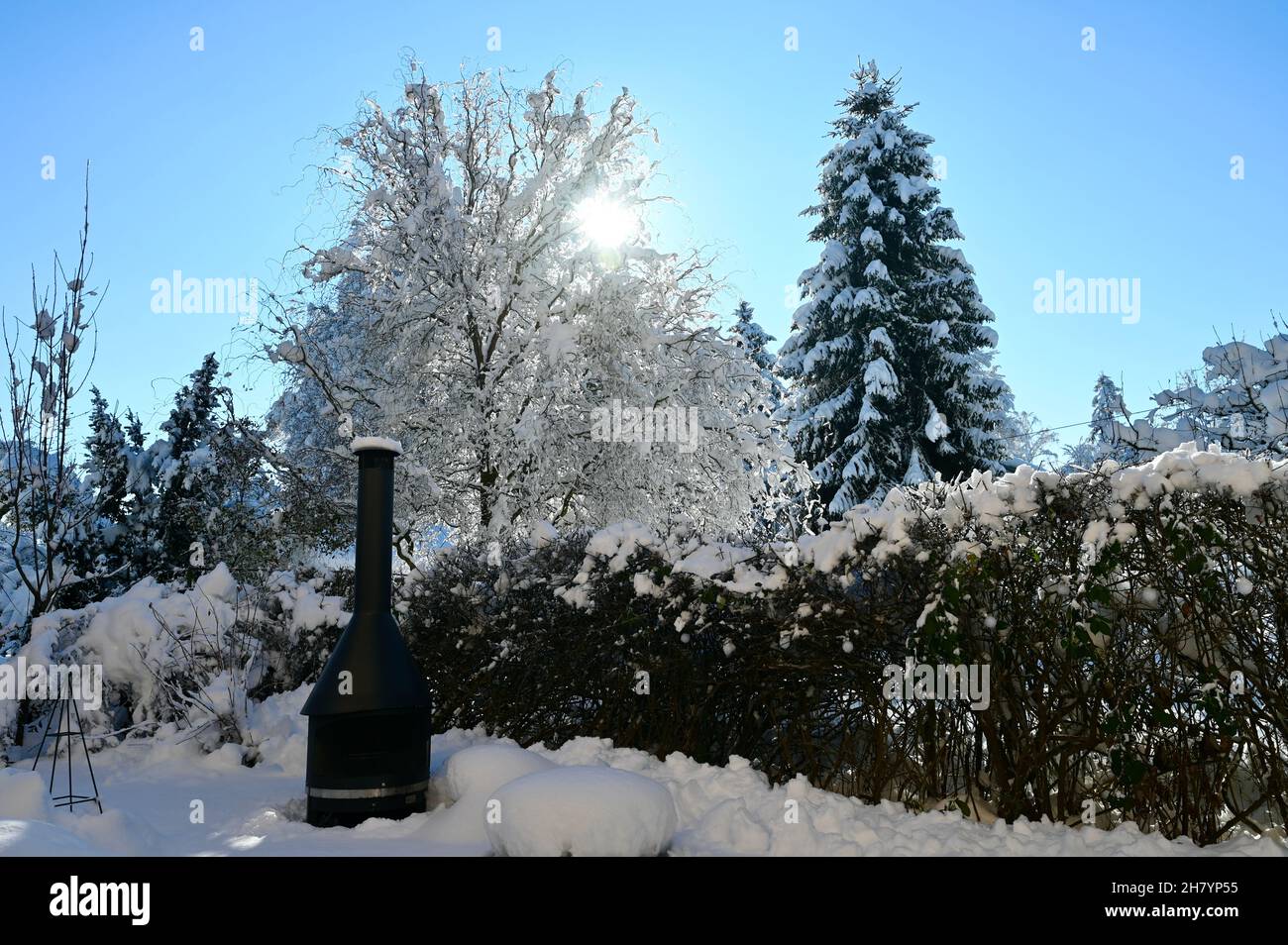 Bellissima meraviglia invernale in un giardino privato in Austria Foto Stock