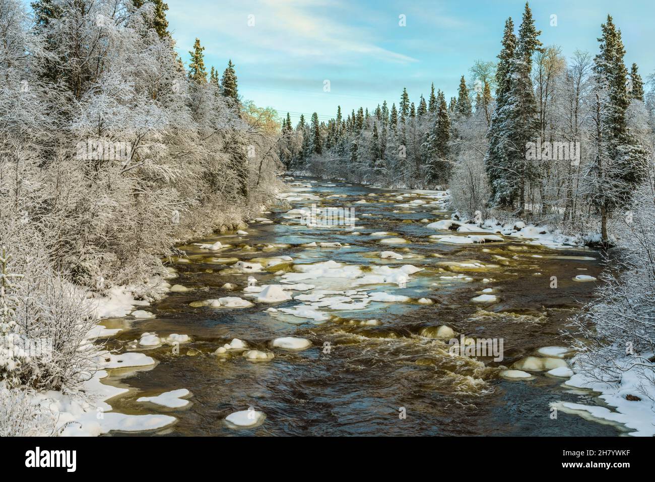 Fiume Sjaunja in inverno con carri ghiacciati e rocce, neve sugli alberi, contea di Gällivare, Lapponia svedese, Svezia Foto Stock
