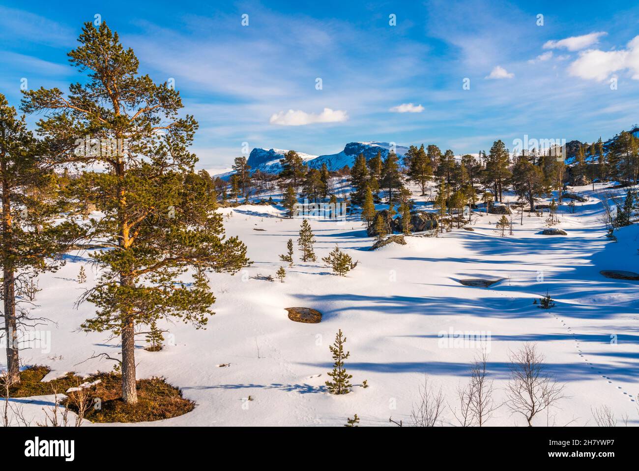 Primavera nella zona montana, neve abbondante, tempo di sole, montagne sullo sfondo, Stora sjöfallet nationalpark, Contea di Gällivare, LAPL svedese Foto Stock