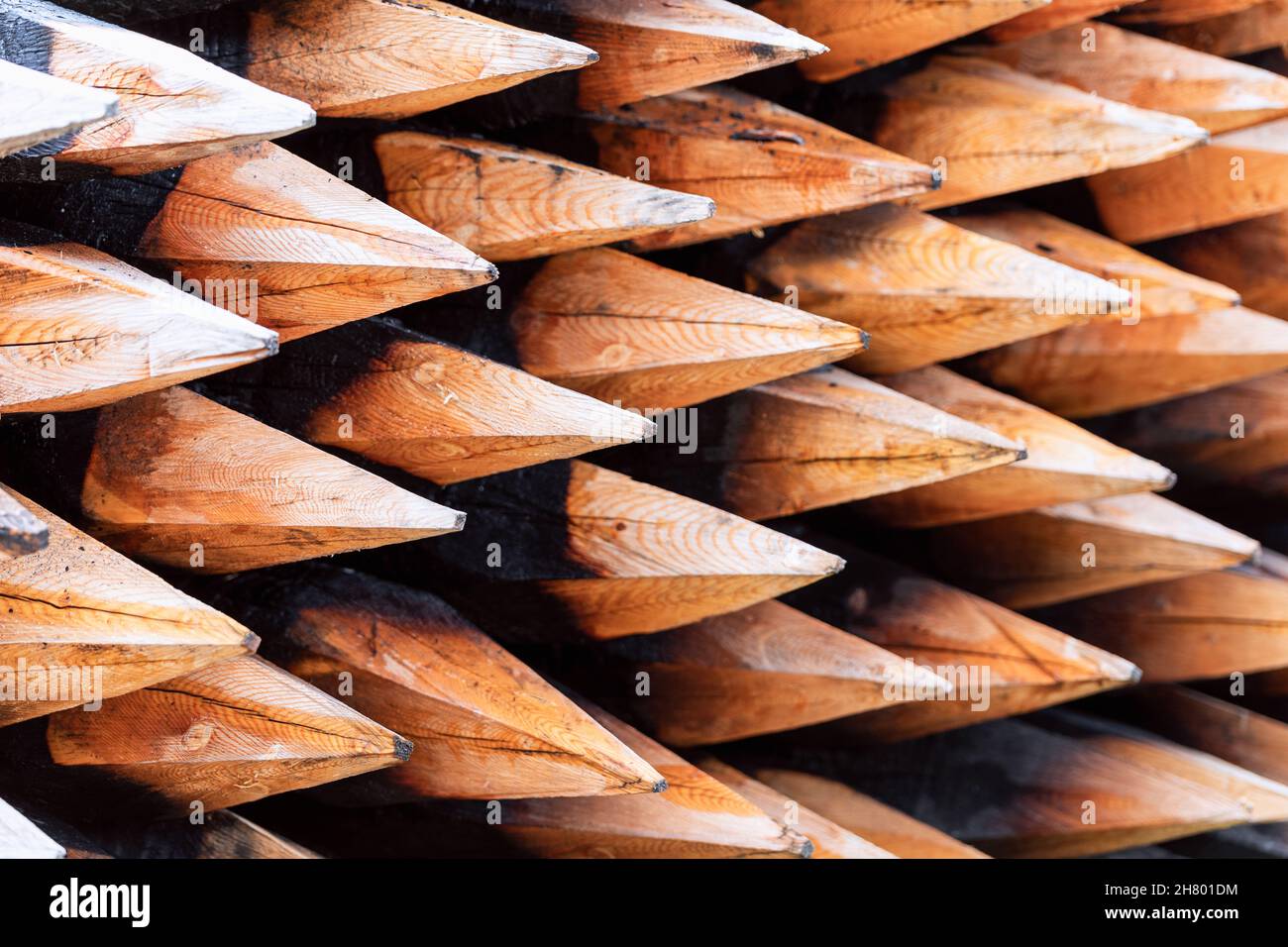 File di pali di legno appuntiti mostrano estremità tagliate pallide e una venatura del legno calda, formando un motivo rustico ripetitivo nell'Altro Tirolo, Italia. Foto Stock