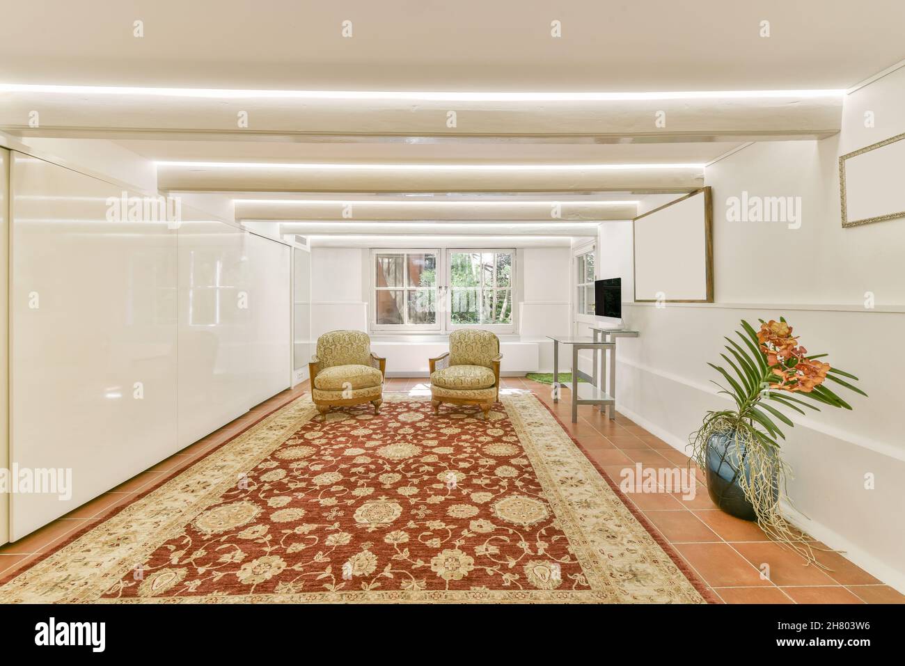 Comode poltrone disposte su tappeto colorato in una spaziosa camera con pianta in vaso e moderna TV contro finestra in appartamento Foto Stock