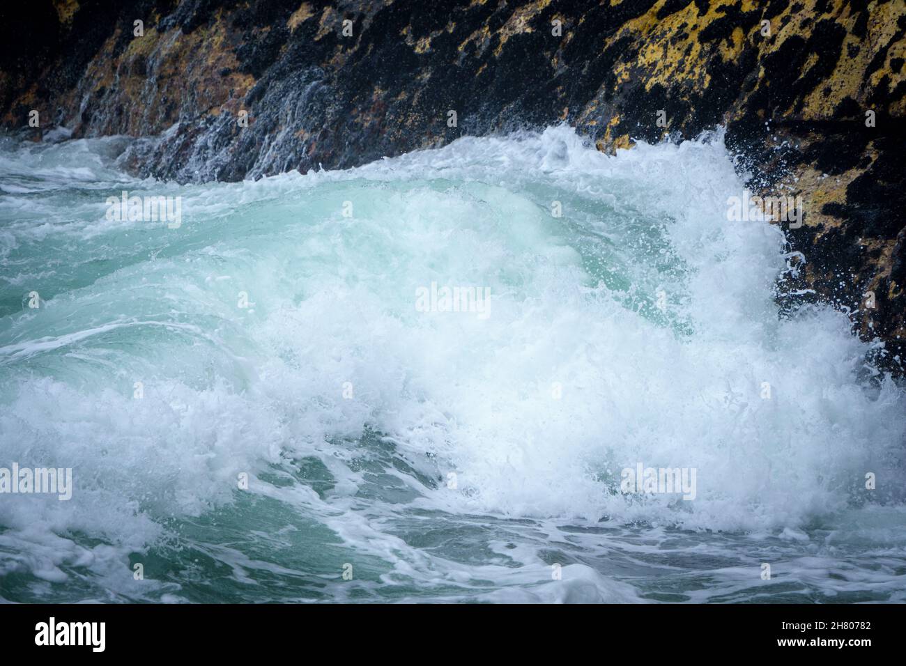 Bellissime onde oceaniche che si infrangono su rocce ricoperte di muschio. Hermanus. Whale Coast. Overberg. Capo Occidentale. Sudafrica. Foto Stock
