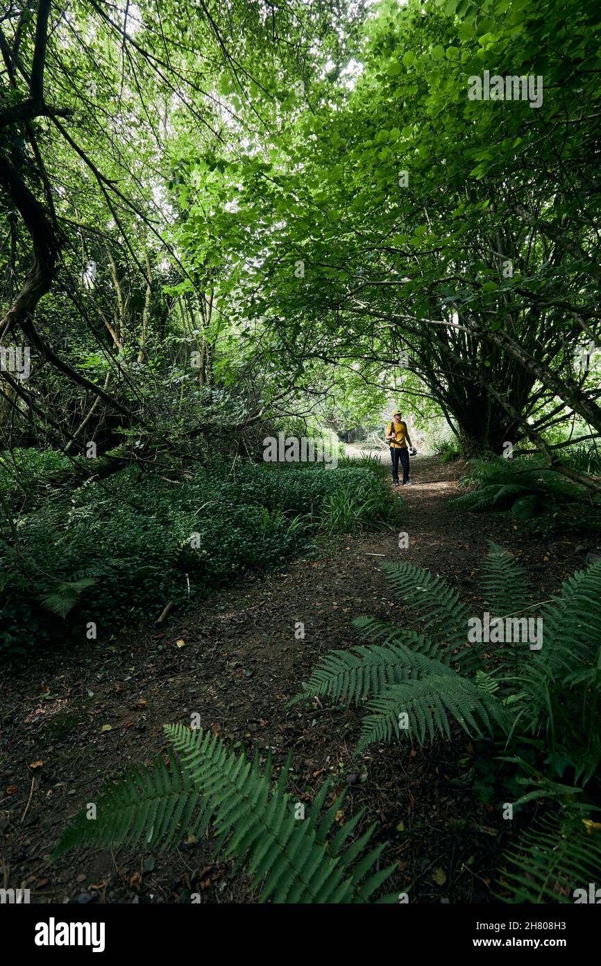 Il viaggiatore in berretto con zaino che cammina sulla foresta Foto Stock