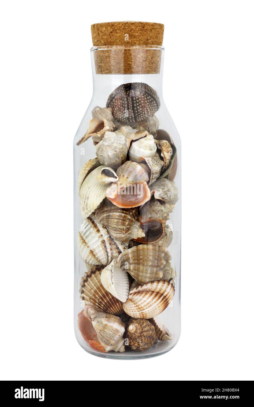 Conchiglie in un vaso di vetro su sfondo bianco. Concetto di vacanza estiva. Foto Stock