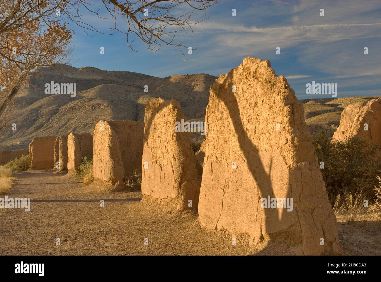 Rovine del Fort Selden state Monument all'alba nella valle di Mesilla vicino a Radium Springs, New Mexico, USA Foto Stock