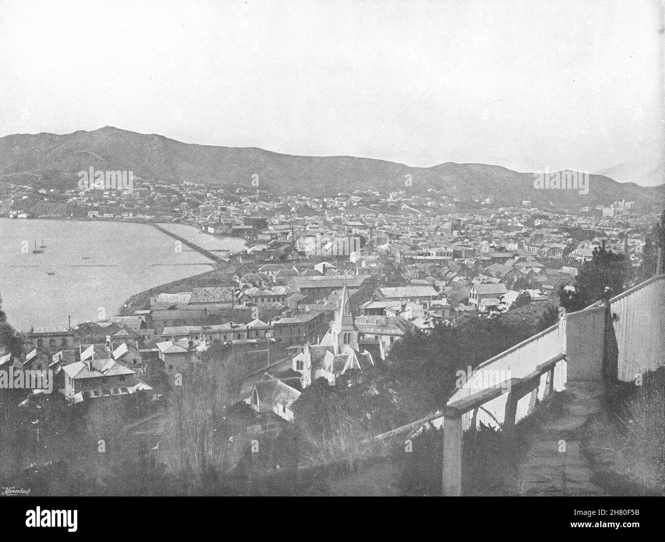 NUOVA ZELANDA. Wellington- veduta generale della città 1895 vecchia stampa antica Foto Stock