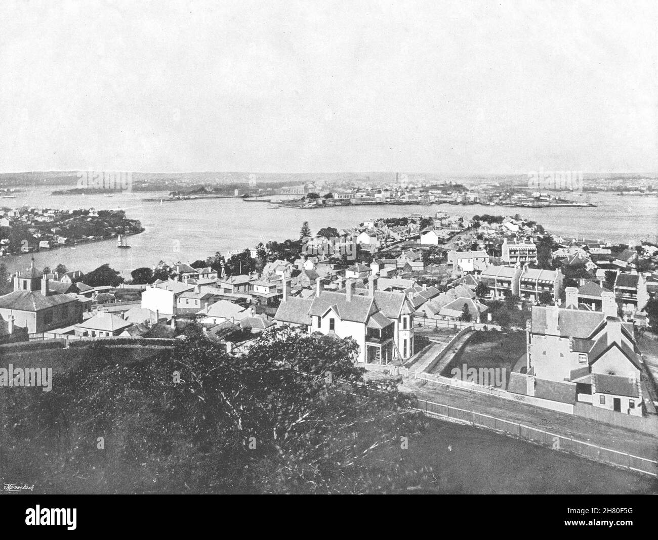 AUSTRALIA. Sydney- Vista dalla North Shore 1895 vecchia stampa antica Foto Stock