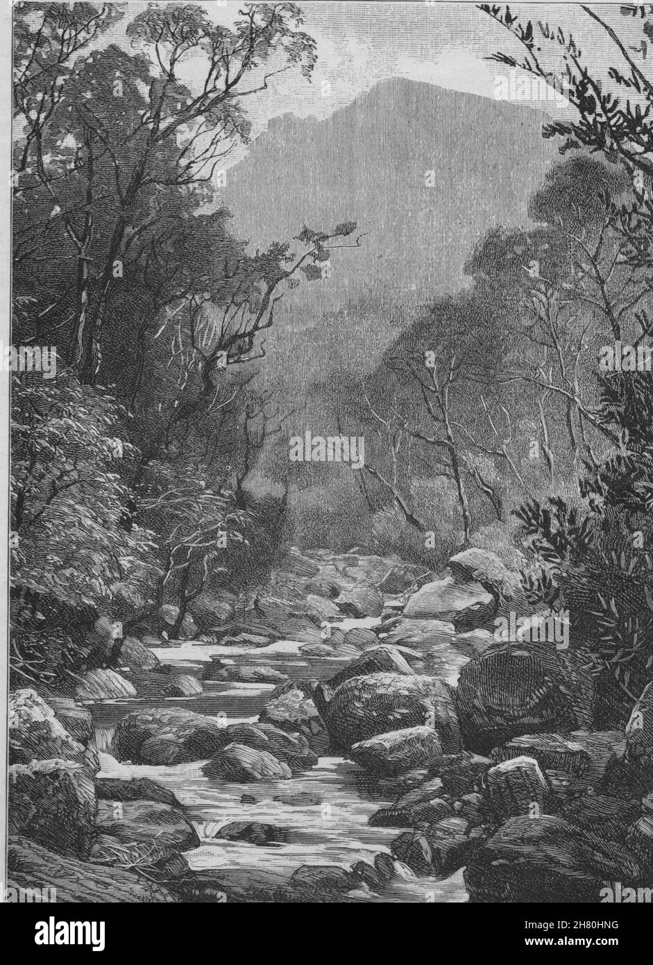La valle del Grose. Il Blue Mountains. Australia 1890 antica stampa Foto Stock