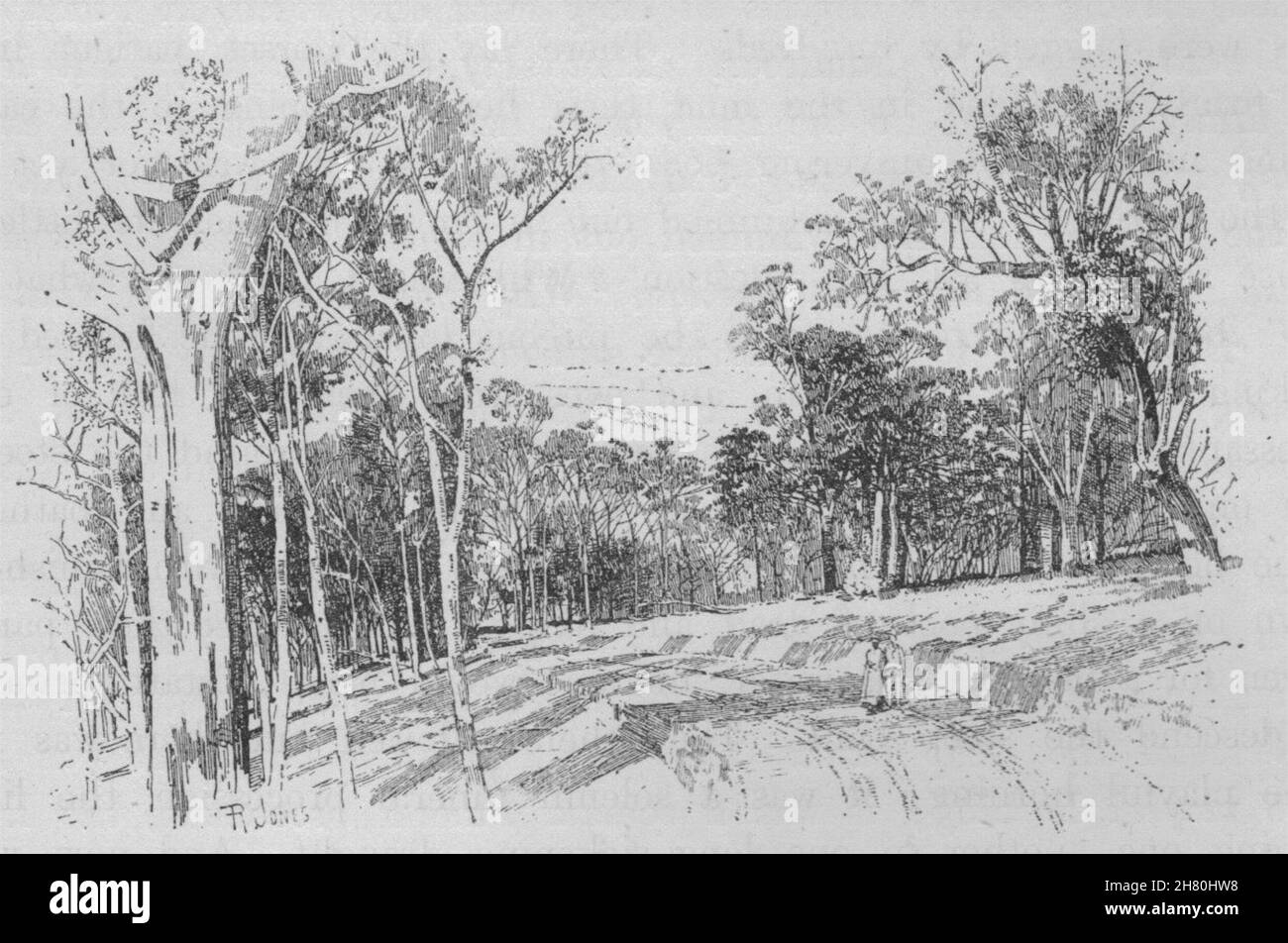 Strada per il Fish River grotte. Le Caverne di Jenolan. Australia 1890 antica stampa Foto Stock