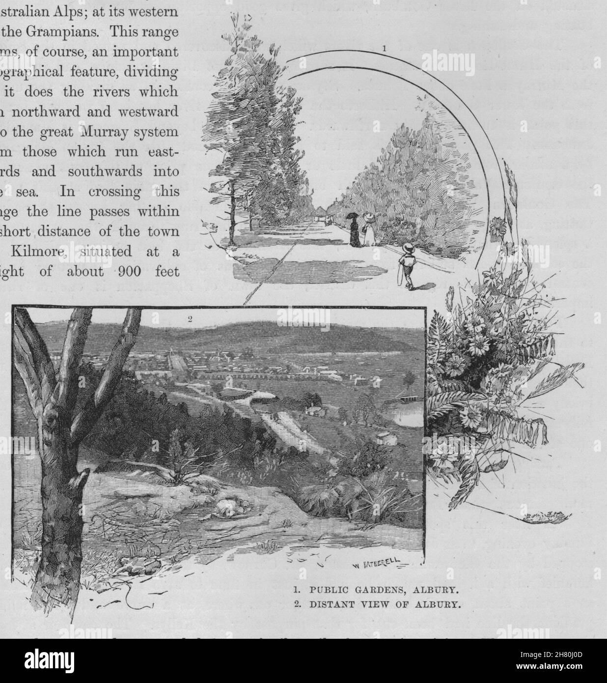 Giardini pubblici, Albury e vista in lontananza Albury. Australia 1890 antica stampa Foto Stock