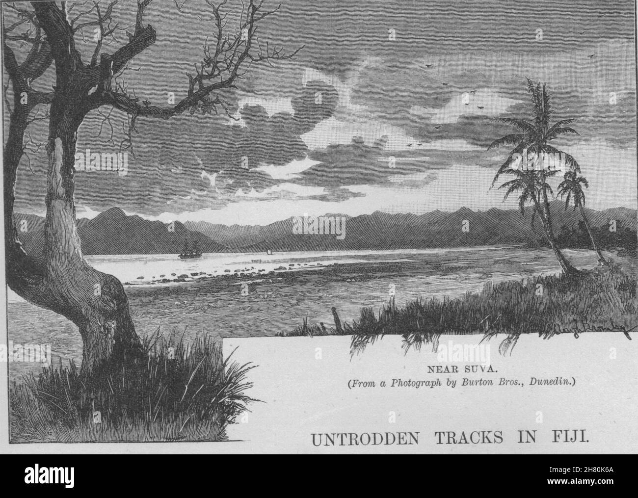 Nei pressi di Suva. Isole Figi 1890 antica vintage delle immagini di stampa Foto Stock