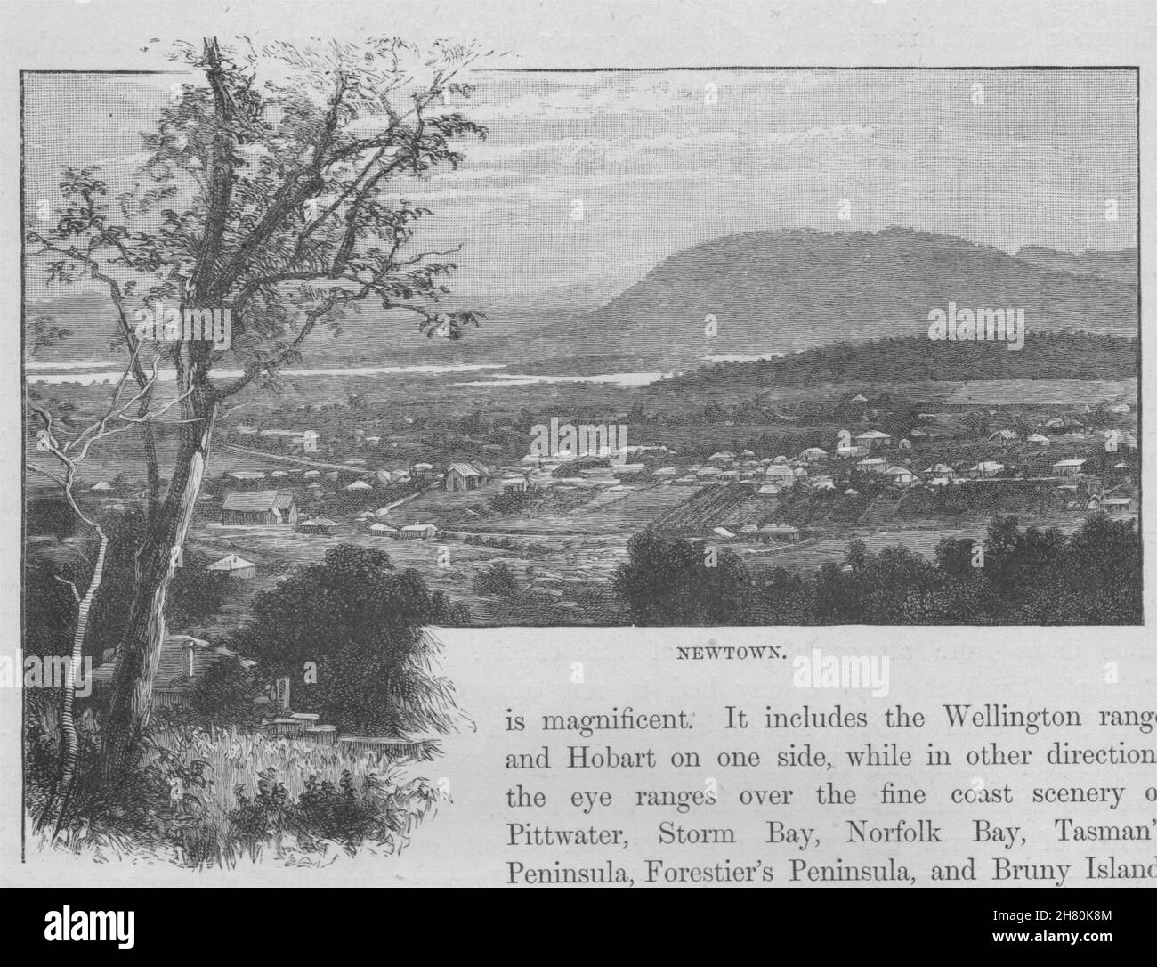 Newtown. La Tasmania. Australia 1890 antica vintage delle immagini di stampa Foto Stock