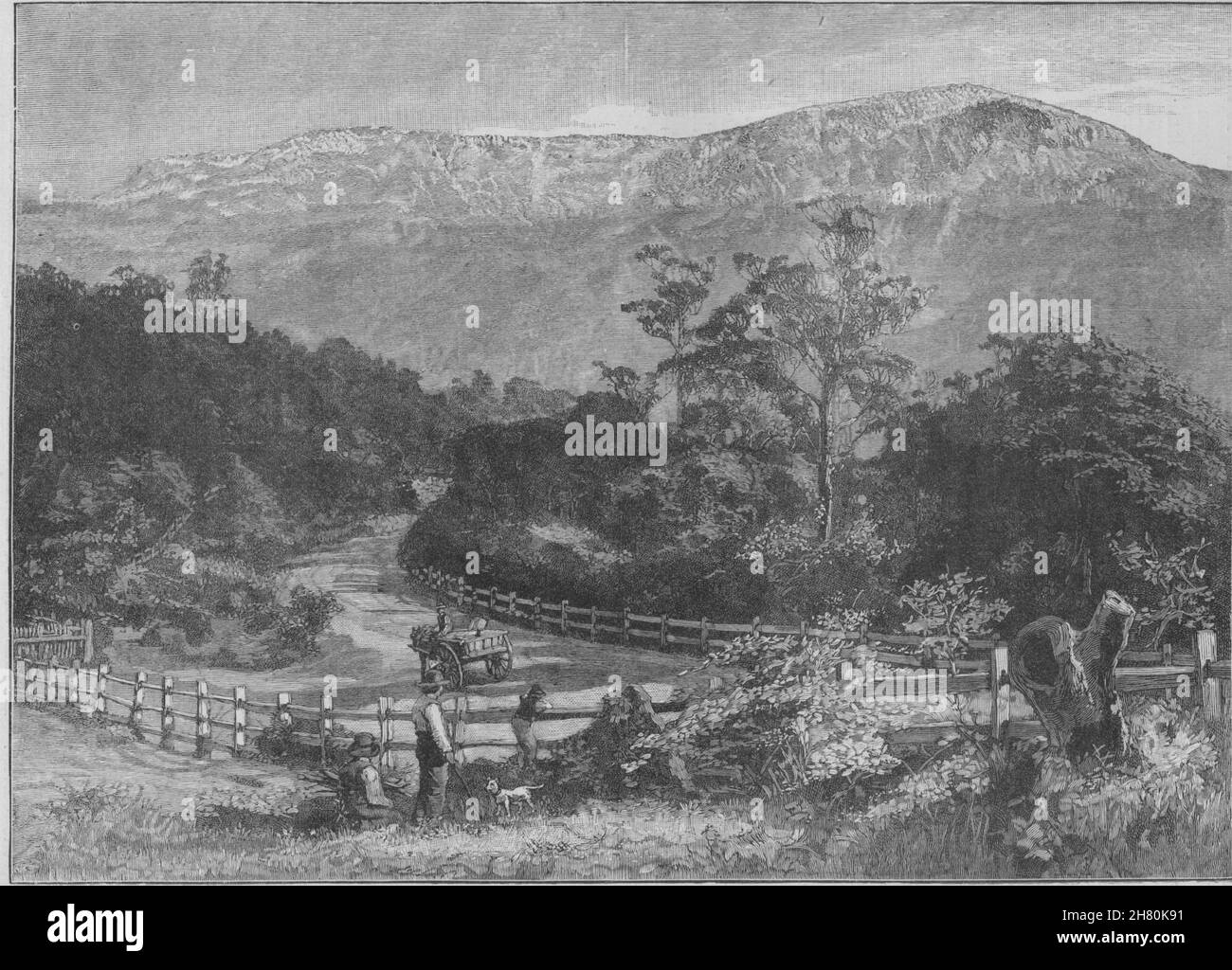 Monte Wellington, dal Huon Road. La Tasmania. Australia 1890 antica stampa Foto Stock