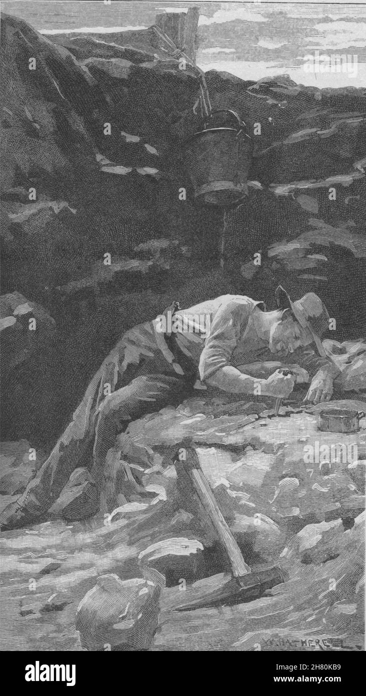 ' Fossicking '. Oro. Australia 1890 antique vintage delle immagini di stampa Foto Stock