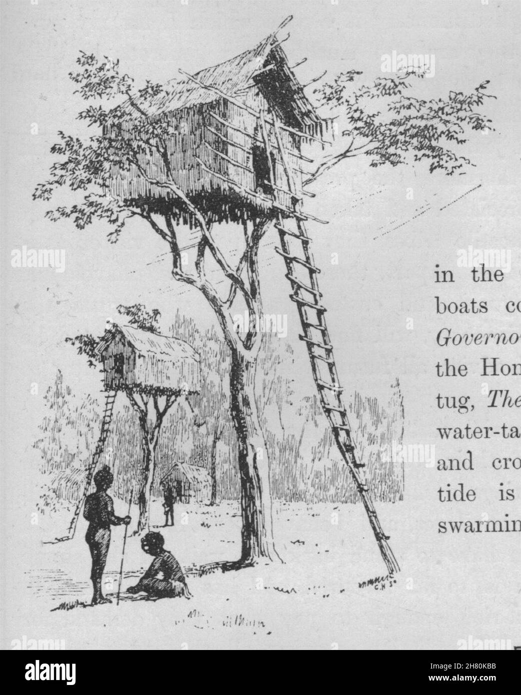 Un albero di casa. Nuova Guinea 1890 antica vintage delle immagini di stampa Foto Stock