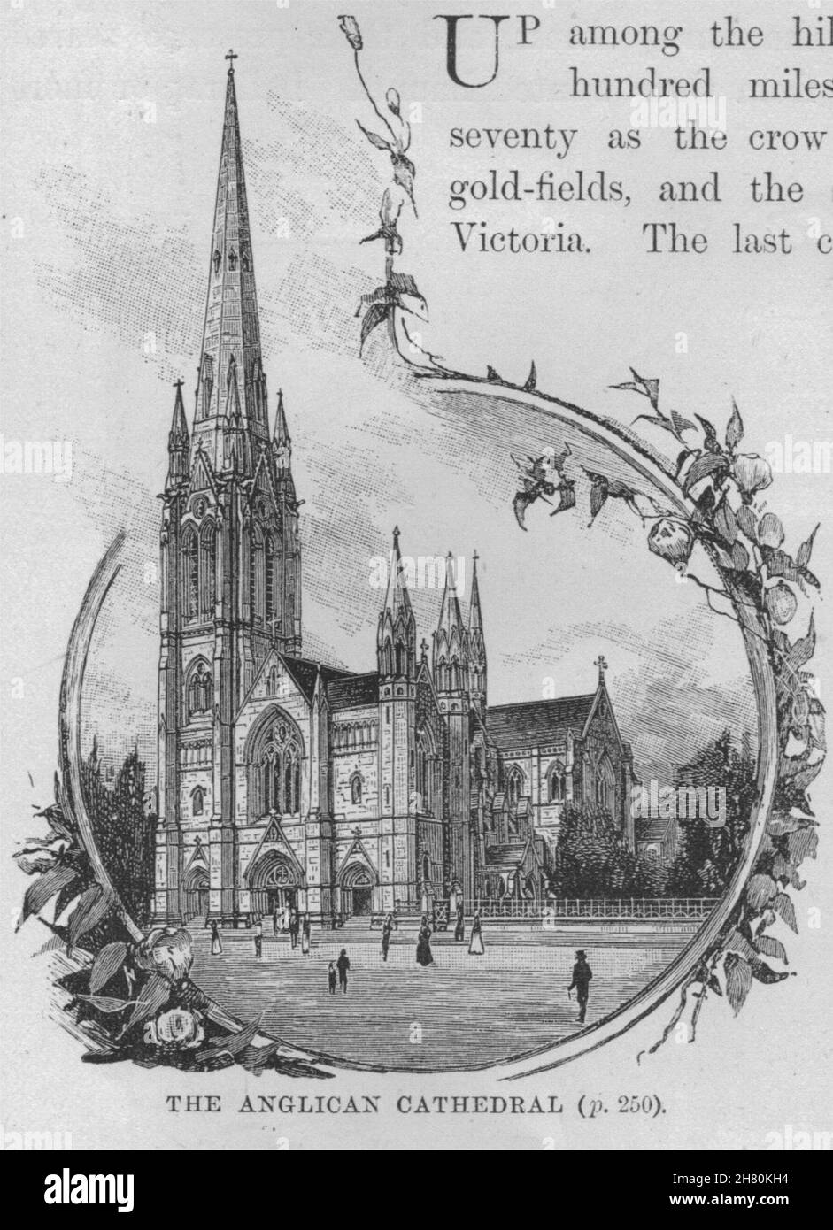 La Cattedrale Anglicana. Ballarat. Australia 1890 antica immagine di stampa Foto Stock