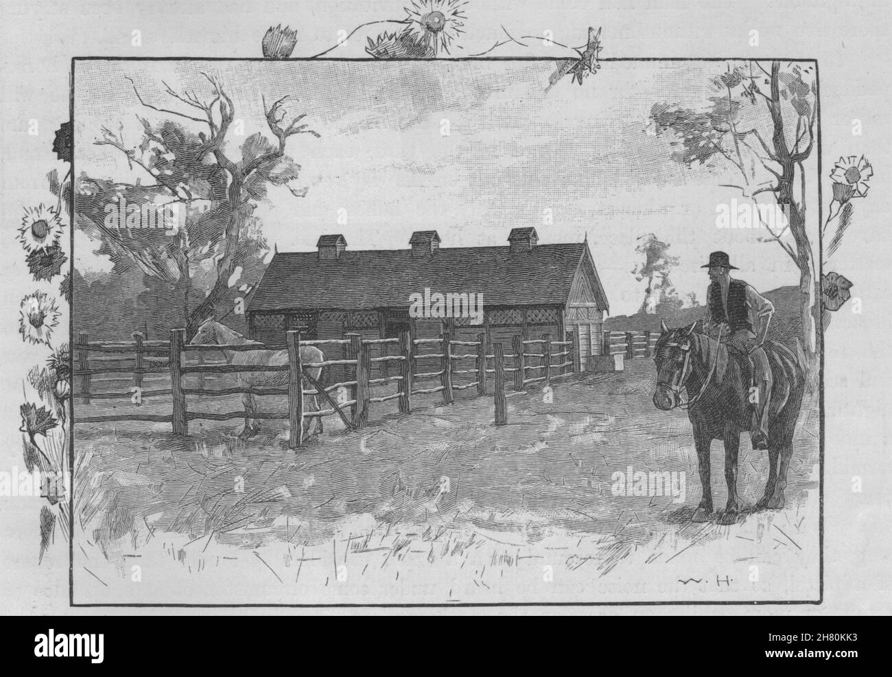 Un piazzale di stoccaggio. Australia 1890 antica vintage delle immagini di stampa Foto Stock