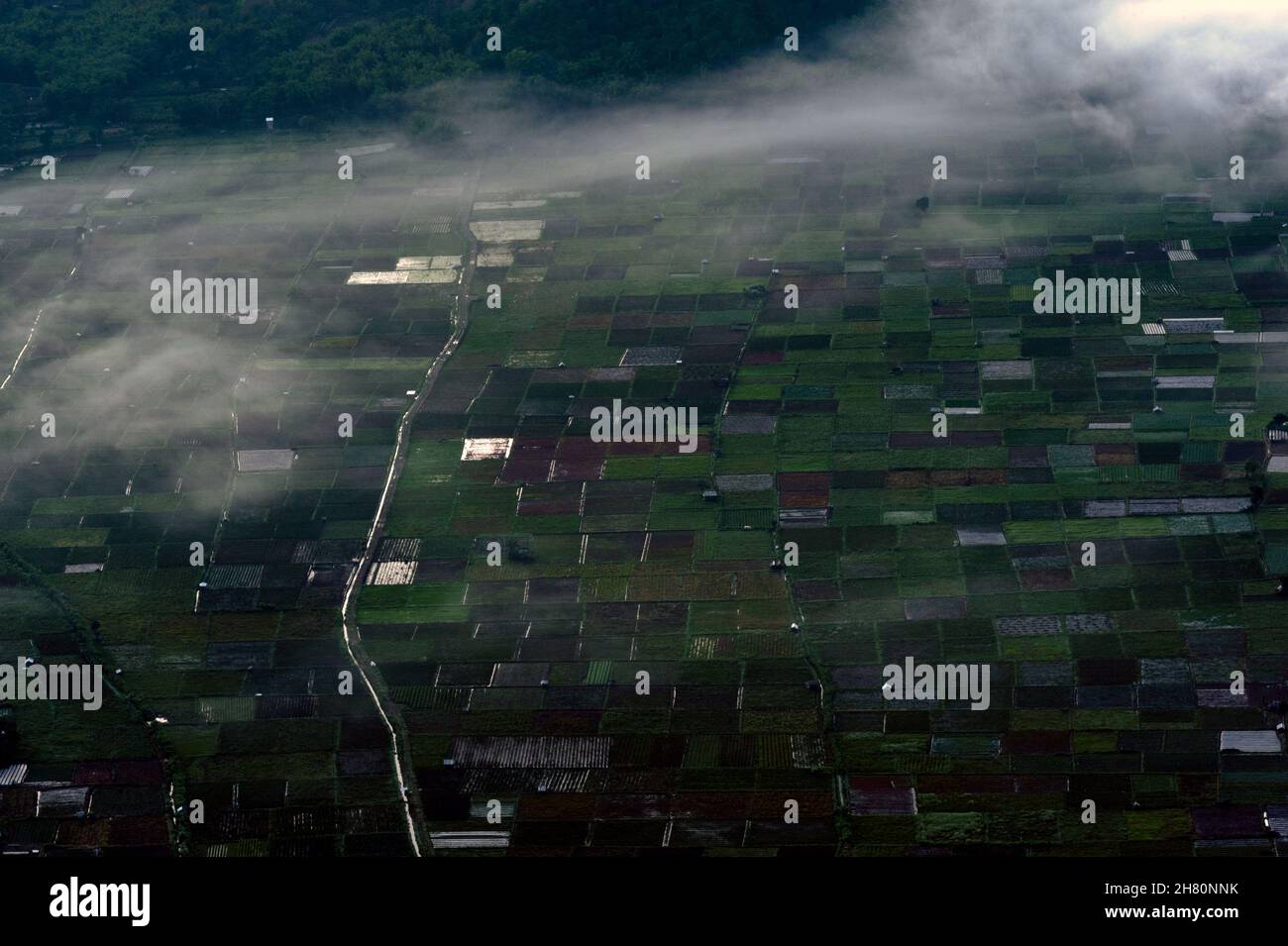 Immagine aerea del campo di piantagione nel villaggio di sembalun. Foto Stock