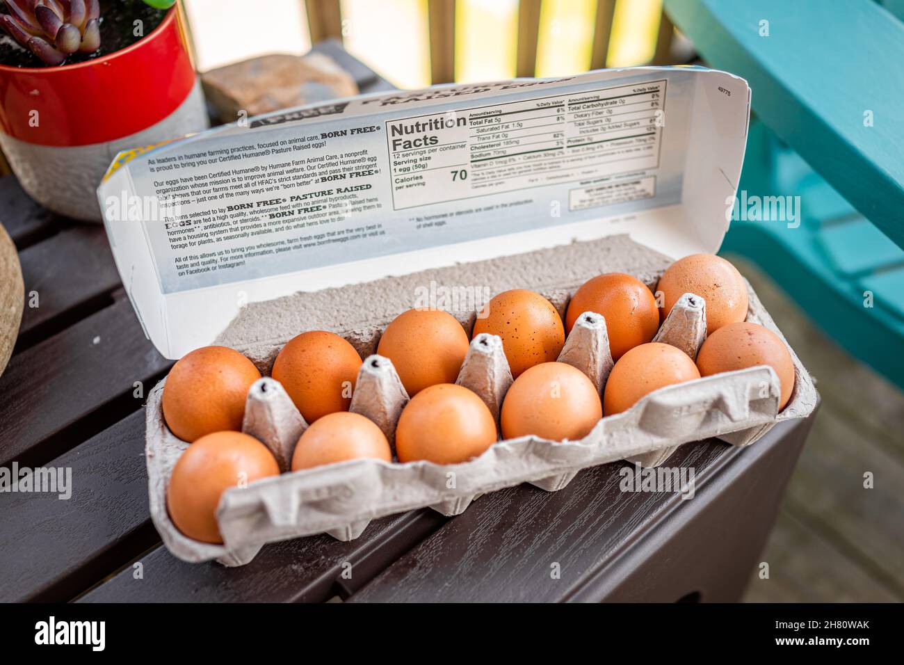 Sugar Mountain, USA - 31 maggio 2021: Primo piano di Born Free brand pasture allevato fattoria uova fresche etichetta nutrizionale per dozzina di uova di canna acquistate in North Car Foto Stock