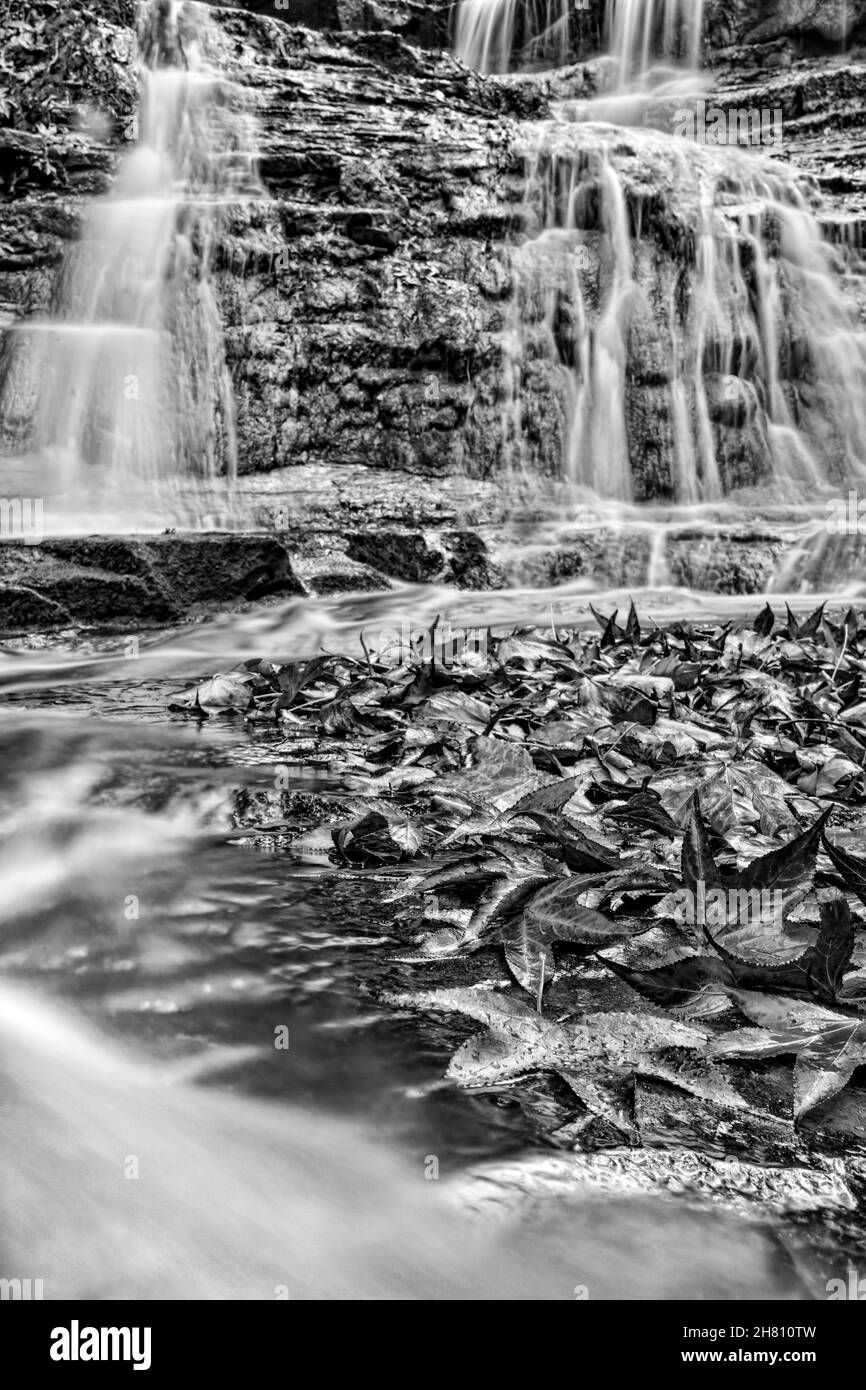 In una terra che nessuno conosce, la cascata Foto Stock