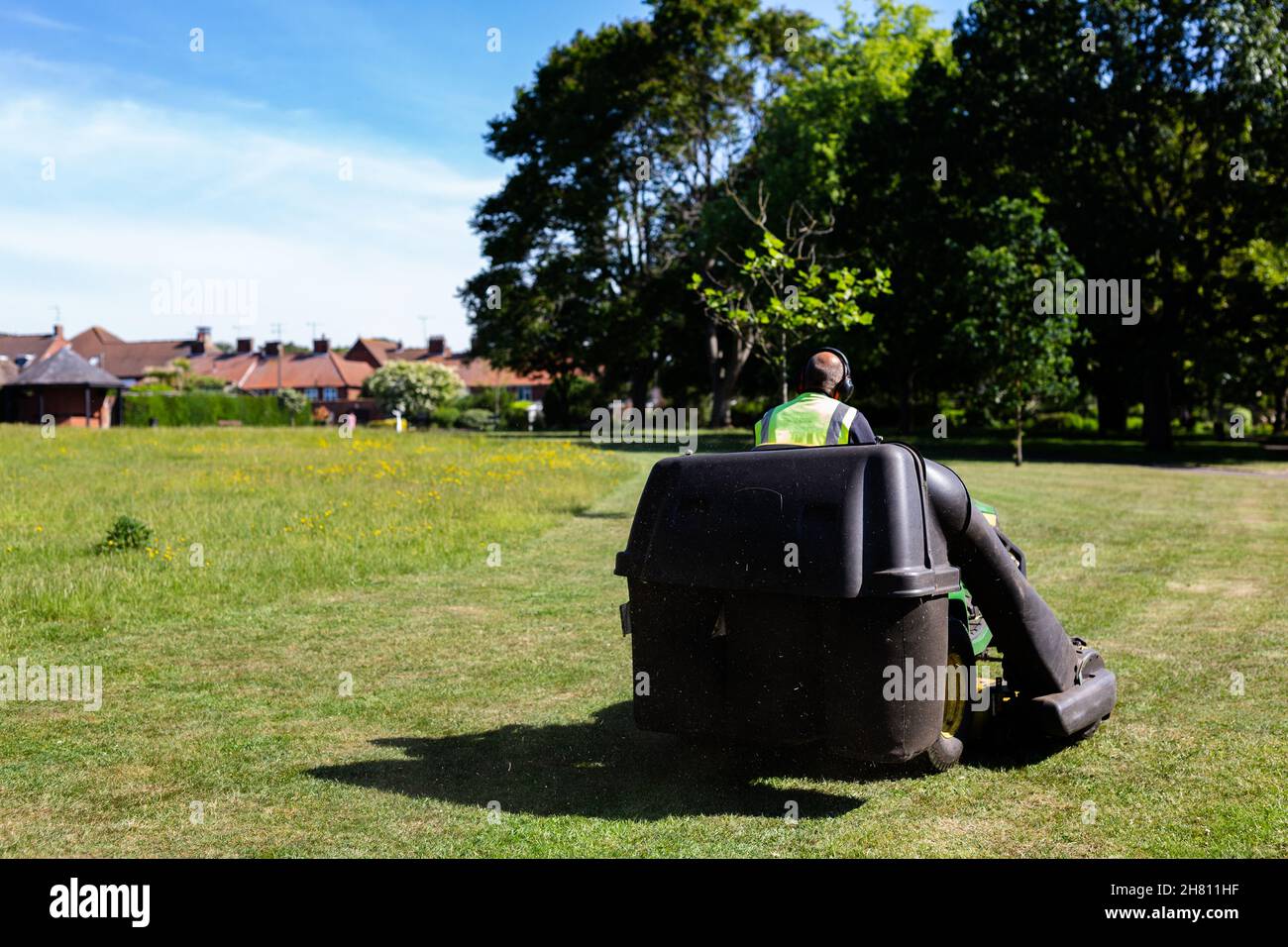 Un impiegato del consiglio che guida su un siediti sul rasaerba tagliando l'erba in un parco pubblico in una giornata calda di estati Foto Stock