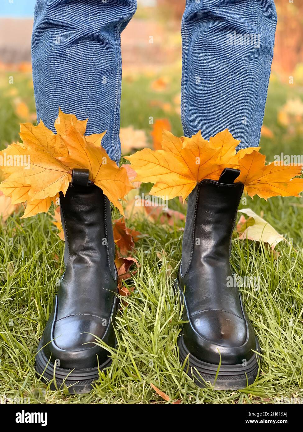 Scarpe autunnali nel fogliame autunnale. Caduta delle foglie. L'autunno cammina attraverso le foglie cadute. Foglie di acero giallo in un stivali neri. Foto verticale Foto Stock