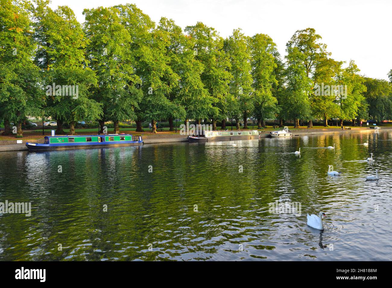 Fiume Avon con barche lungo il canale Evesham Abbey Park, Evesham, Worcestershire, Regno Unito Foto Stock
