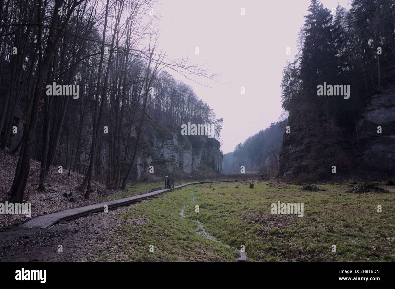 Paesaggio nella nebbia Foto Stock